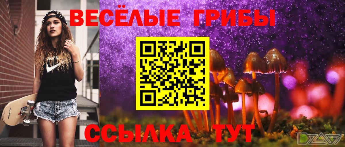 Псилоцибиновые грибы мицелий Екатеринбург