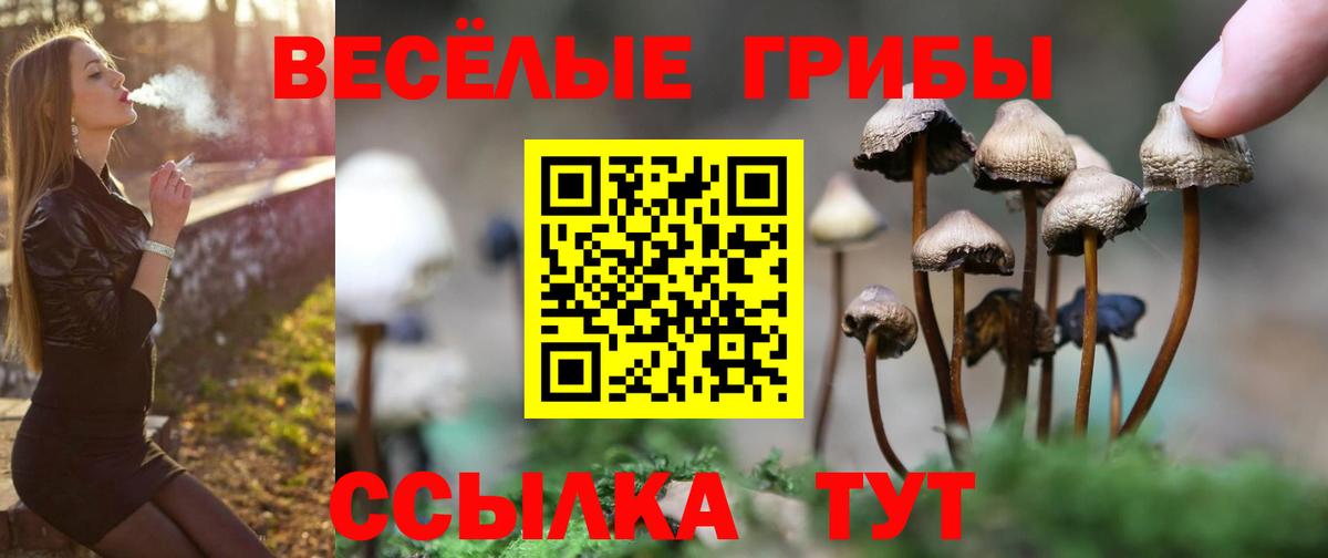 Галлюциногенные грибы Magic Shrooms  Псилоцибиновые грибы GOLDEN TEACHER  Екатеринбург  Вход с VPN 